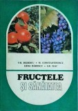 Gheorghe Badescu - Fructele si sanatatea