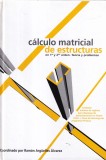 Ramon Arguelles Alvarez - Calculo matricial de estructuras en primer y segundo