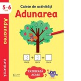 Caiete de activitati. Adunarea 5-6 ani (Usborne)