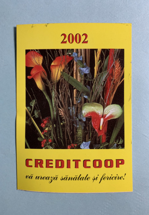Calendar 2002 flori Creditcoop