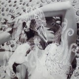Bjork Vespartine LP reissue (2vinyl)