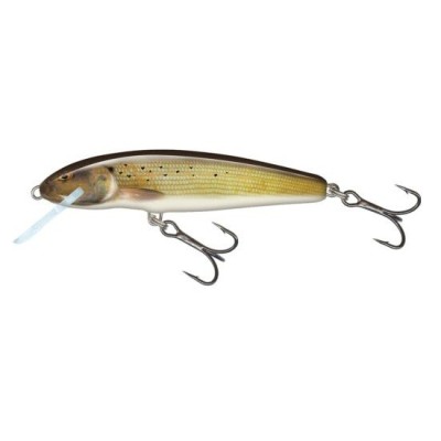 Vobler Salmo Minnow Sinking 7cm 8g Grayling foto