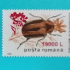 TIMBRE ROMANIA 2000 L.P.1516 INSECTE II1996 SUPRATIPAR FLOARE MUȘTAR MNH