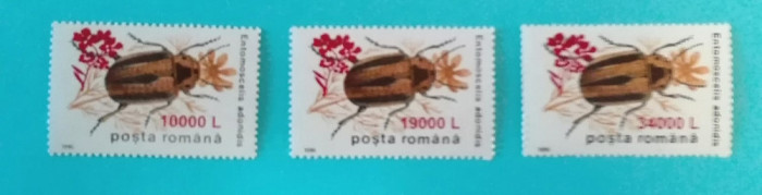 TIMBRE ROMANIA 2000 L.P.1516 INSECTE II1996 SUPRATIPAR FLOARE MUȘTAR MNH