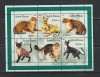 Guinea Bissau 2001 - Pisici S/S 1v MNH, Nestampilat
