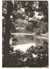 CPIB 22730 - CARTE POSTALA - SOVATA. LACUL URSU, RPR, Circulata, Fotografie
