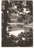 CPIB 22730 - CARTE POSTALA - SOVATA. LACUL URSU, RPR, Circulata, Fotografie