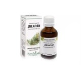Extract din muguri de jneapan, 50ml, PlantExtrakt