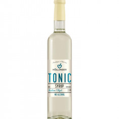 Sirop Tonic Indian Style Fara Alcool 1:9 Bio 500 mililitri Hollinger