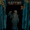 Raptor: A Sokol Graphic Novel