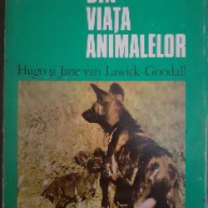 Din viata animalelor - H. si J. van Lawick Goodall