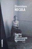 ISPITA INTR-O DIMINEATA PLOIOASA-DAMIAN NECULA