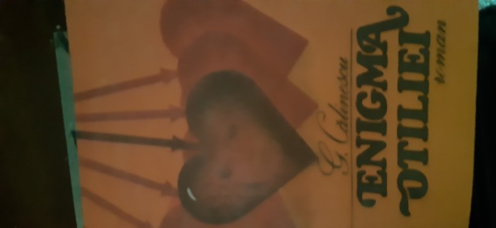 Enigma Otiliei George Calinescu 1988
