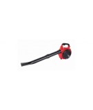 RAIDER Aspirator Cu Tocator/Suflanta Benzina 750W 30L