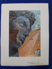 Litografie SALVADOR DALI 50x65cm Bfk Rives foto