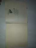 Rapsodii de toamna-G.Toparceanu(editia 1988,ilustrata SILVIA COLFESCU),Uzura nor