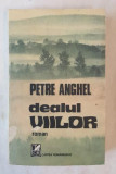 Petre Anghel - Dealul viilor