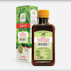 Sirop muguri pin si patlagina 200ml dorel plant