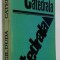 Catedrala - Virgil Duda (Rubin Leibovici), editie PRINCEPS, 1969