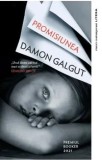 Cumpara ieftin Promisiunea/Damon Galgut
