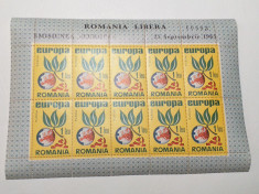 ROMANIA EXIL 1965 - MINICOALA EUROPA DANTELATA foto