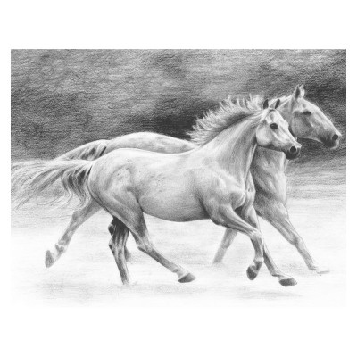 Crochiu incepatori-Cai liberi 22x29 cm foto