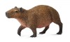 Capibara- collecta