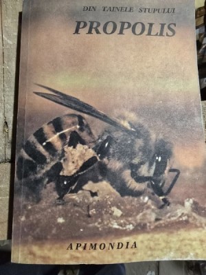 DIN TAINELE STUPULUI. PROPOLIS foto