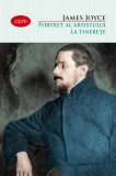 Portret al artistului la tinerețe. Vol.16