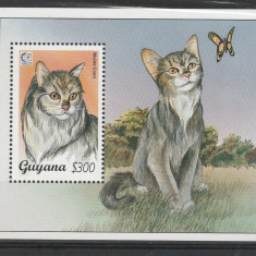 Guyana 1995 - Pisici, colita neuzata