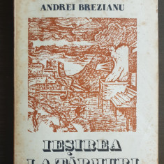 Ieșirea la țărmuri - Andrei Brezianu