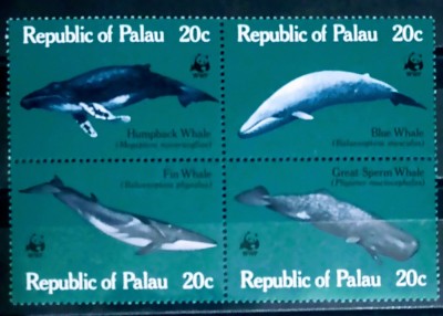 Palau 1983 fauna marina , balene , WWF serie 4v nestampilata foto