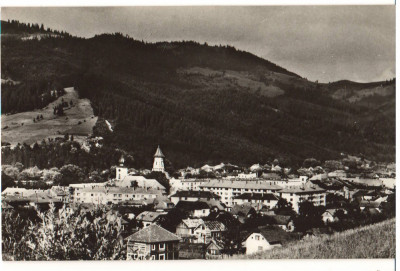 CPIB 16875 CARTE POSTALA - VEDERE DIN CAMPULUNG MOLDOVENESC foto