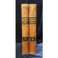 O CALATORIE TURCEASCA D de KARL BRAUN-WIESBADEN, 2 VOL. - STUTTGARD 1876