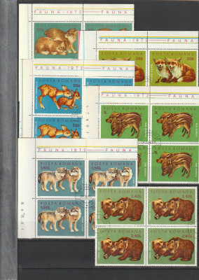 PUI DE ANIMALE SALBATICE ( LP 785 ) 1973 OBLITERATA BLOC DE 4 foto