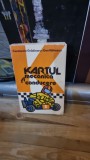 Dan Vaiteanu Kartul mecanica si conducere