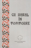 CA AURUL IN TOPITOARE