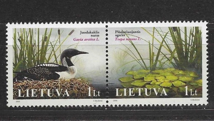 Lituania 2005 - Păsări, serie neuzata