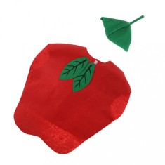 Costum fetru fructe/legume MAR copii serbare, carnaval, petrecere foto