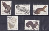 A12 S5 2 - Timbre foarte vechi - fosta URSS - animale salbatice cu blana, Fauna, Stampilat