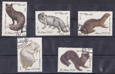 A12 S5 2 - Timbre foarte vechi - fosta URSS - animale salbatice cu blana foto