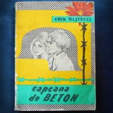 Cumpara ieftin CAPCANA DE BETON - ERIK MAJTENYI
