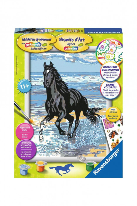 Kit pictura pe numere, Ravensburger , ilustratie cal, 13 culori, 18x24 cm, Varsta 11+, autocolante incluse