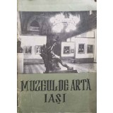 MUZEUL DE ARTA IASI-NECUNOSCUT-180864