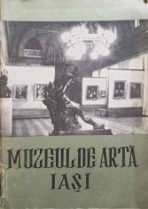 MUZEUL DE ARTA IASI-NECUNOSCUT-321251