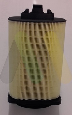 MOTAQUIP LVFA1563 Filtru aer foto