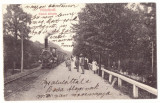 5437 - Baile FELIX, Oradea, Train, Romania - old postcard - used - 1913, Circulata, Printata