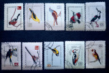 Romania 1959 LP 474 păsări c&acirc;ntătoare și folositoare serie stampilat