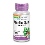 Mastic Gum Solaray Secom 45cps