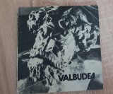 VALBUDEA - Adriana Botez